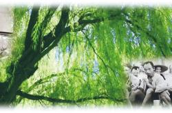 清风正气歌丨跟老百姓融在一起