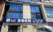 11岁猫咪的生命接力：新瑞鹏旗下宠颐生宠物医院沈阳中心医院的救援实录