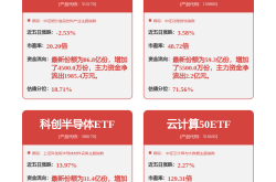 “老登股”还是“小登股” 半夏投资李蓓：参与科技热潮 跑赢沪深300！林园却称买完就后悔